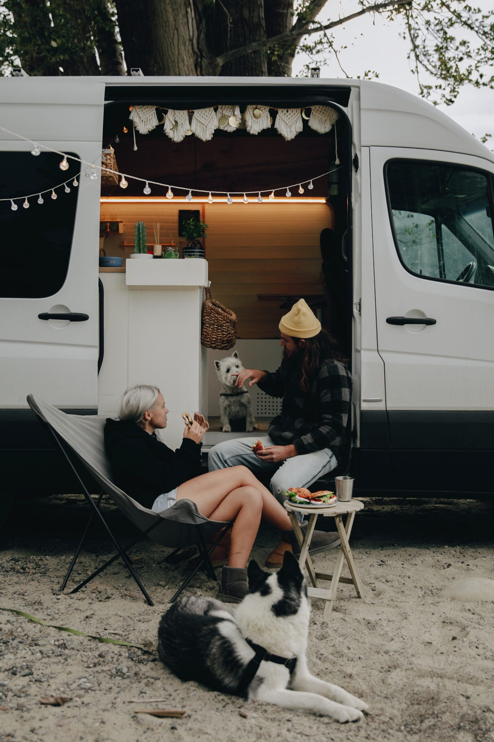 Traveling with Pets: Essential Tips for a Smooth Journey