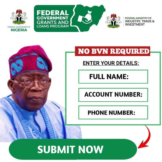 Get Up to N500,000 Grant/Loan By Federal Government